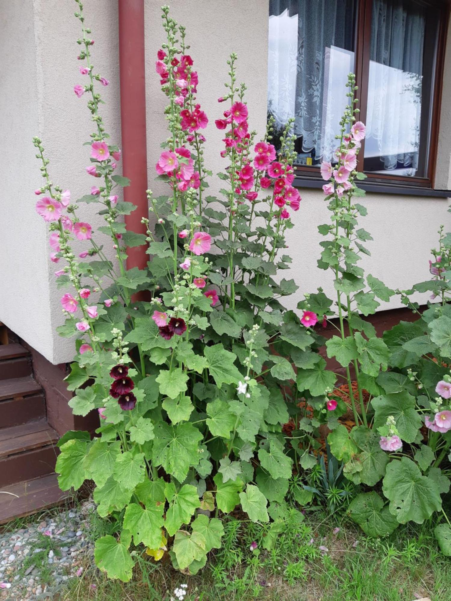 Korsarz Villa Rusinowo  Luaran gambar